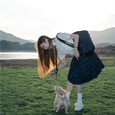 爱出猫
